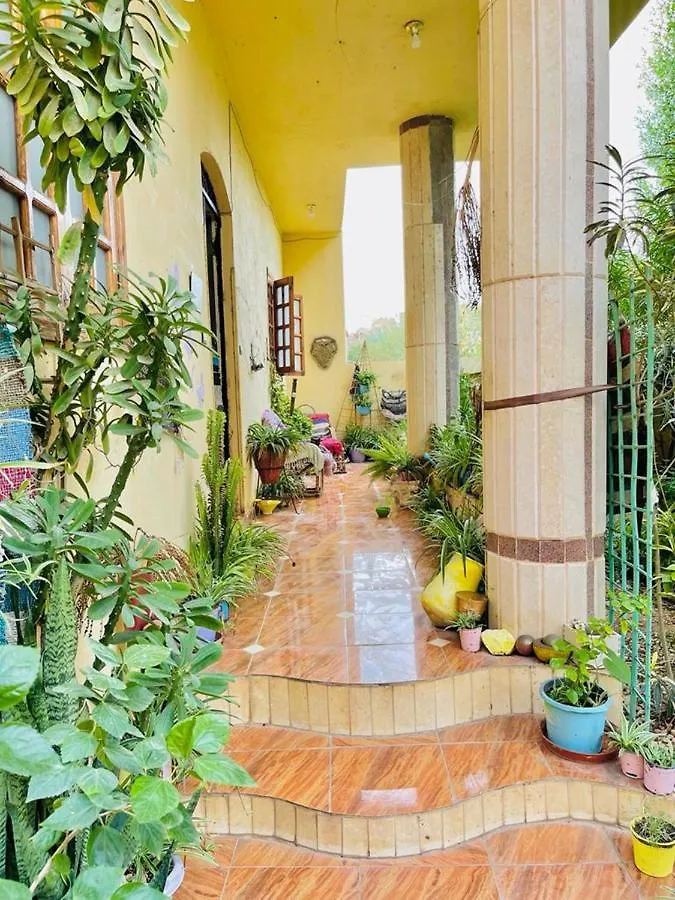 Luxor Nile View Flats Daire